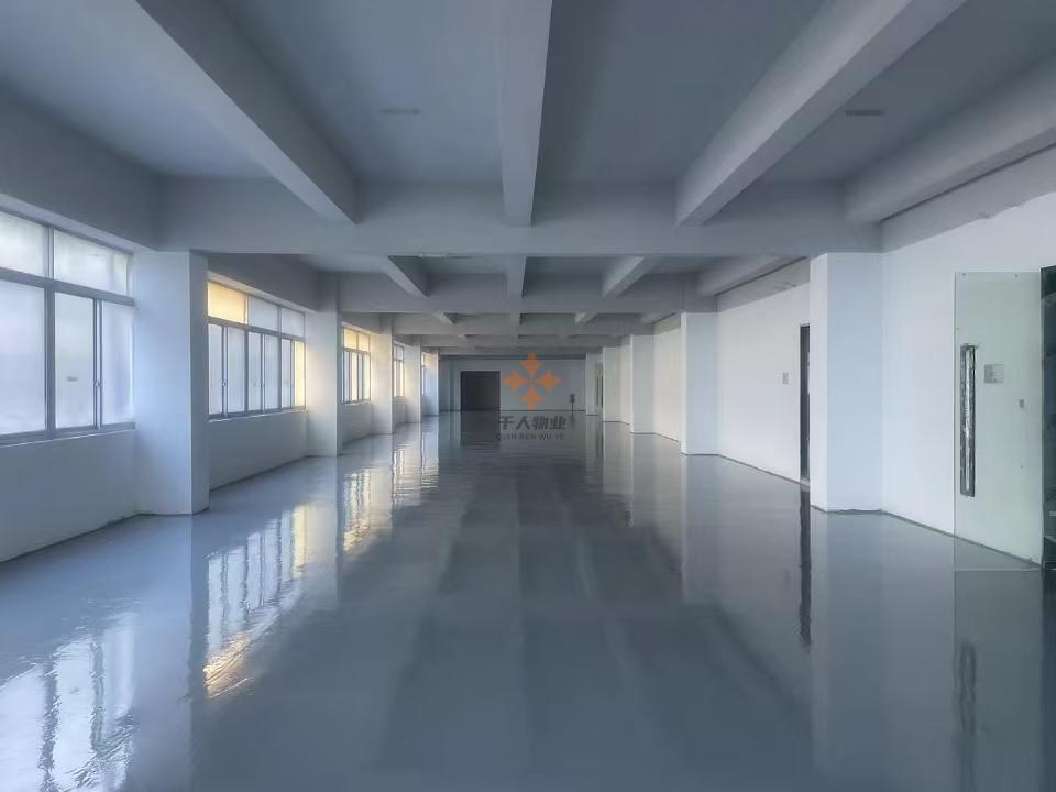 浦东 金洋置业通用厂房园区 210平米 毛坯