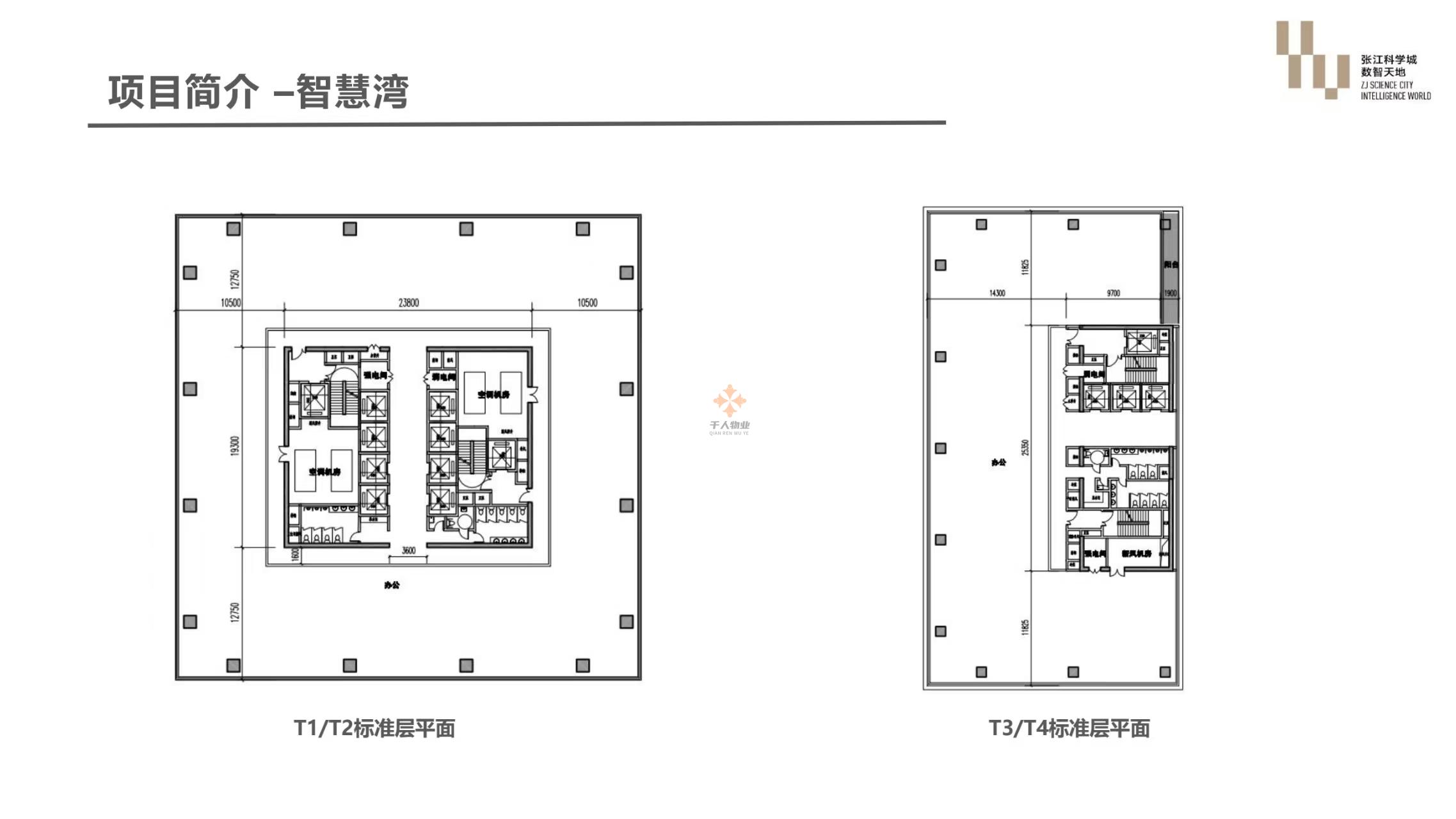 张江科学城数智天地·智慧湾