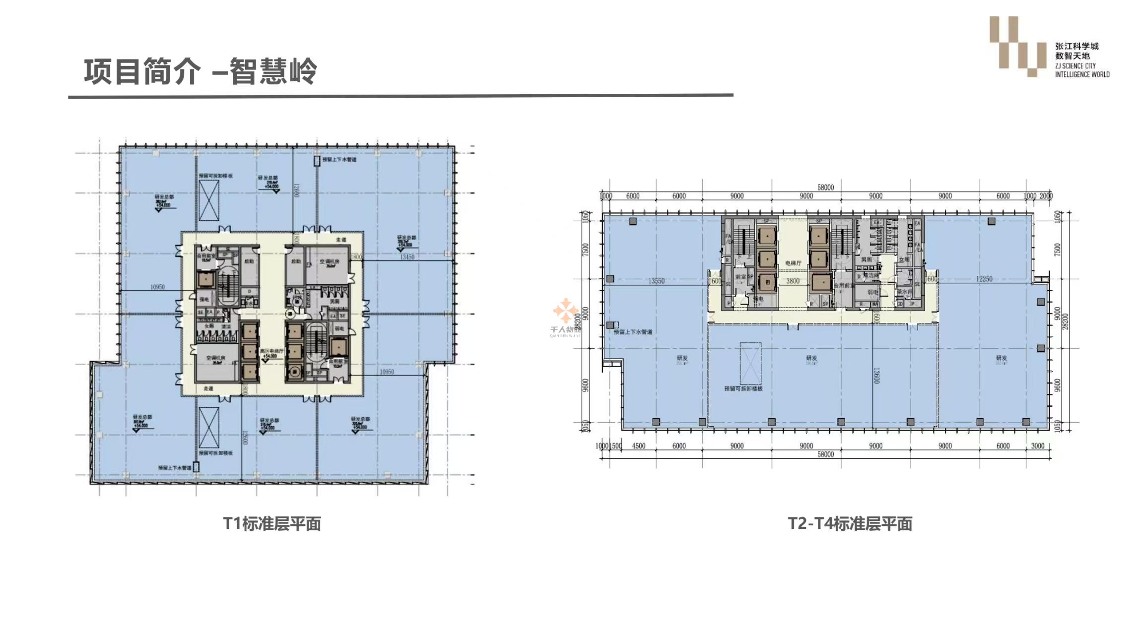 浦东 张江科学城数智天地·智慧岭 200平米 简装