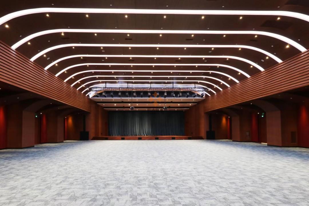 浦东 申迪文化中心 208平米 精装
