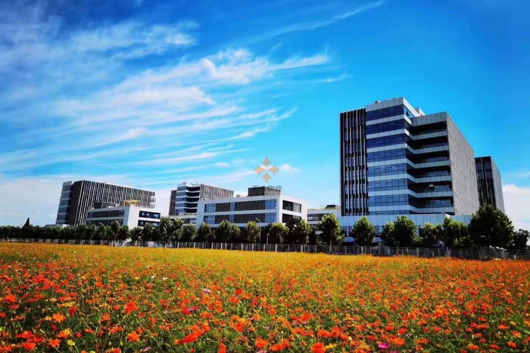 上海浦东软件园三林园