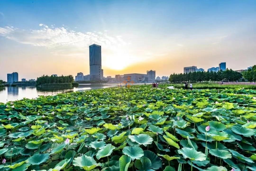 嘉定 保利国际广场 2000平米 简装