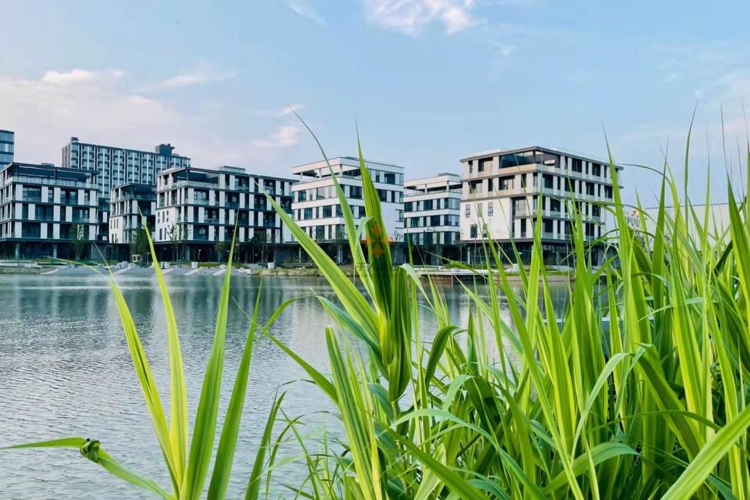 移动智地