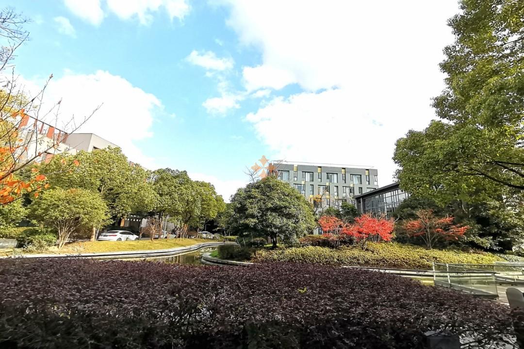 浦东 创研智造 500平米 标准装修