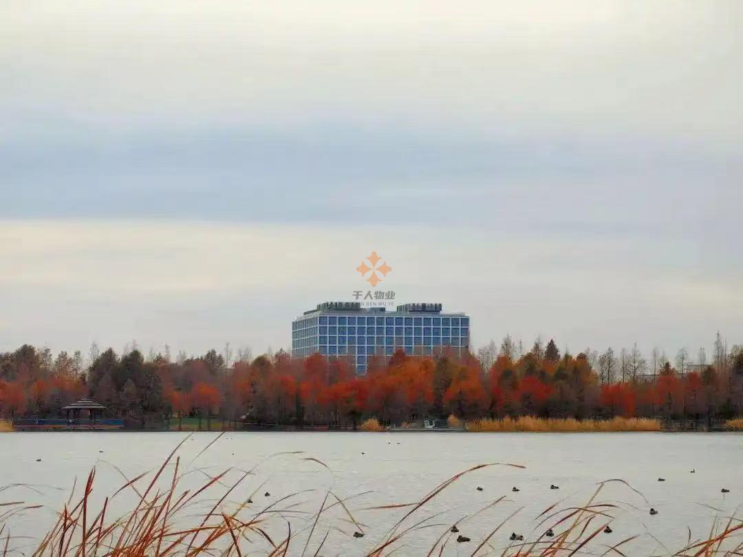 上海申迪文化中心-关于我们