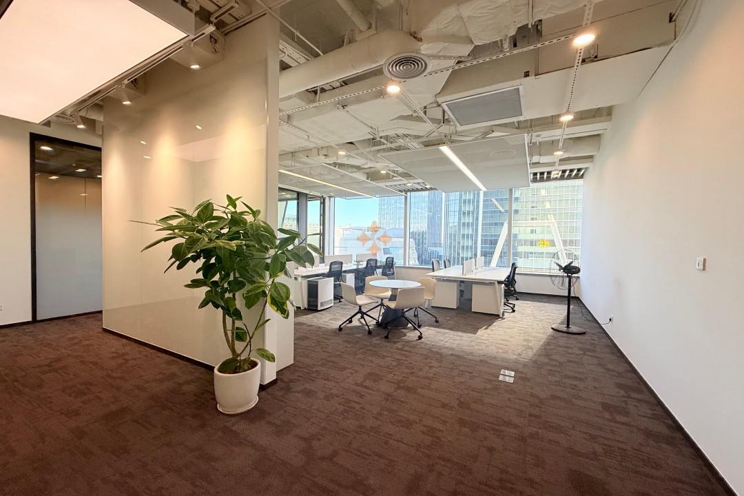 浦东 张江科学之门 190平米 简装