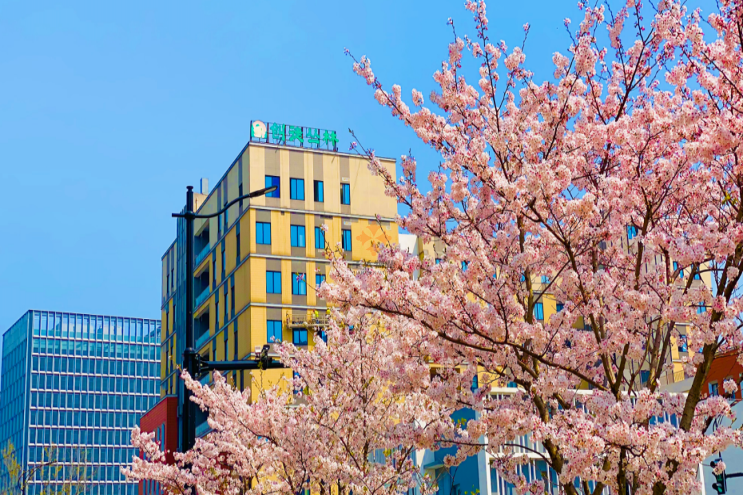 上海凯德腾飞科技楼-关于我们