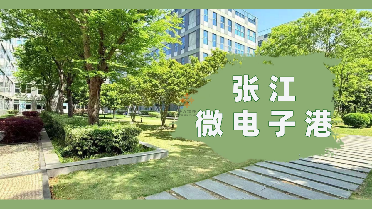 张江微电子港：张江科创核心，赋能高科技企业全周期成长