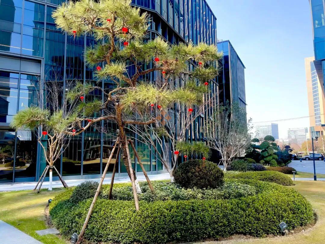 微信图片_20251124145545_1342_119.jpg 微信图片_20251124145545_1342_119.jpg