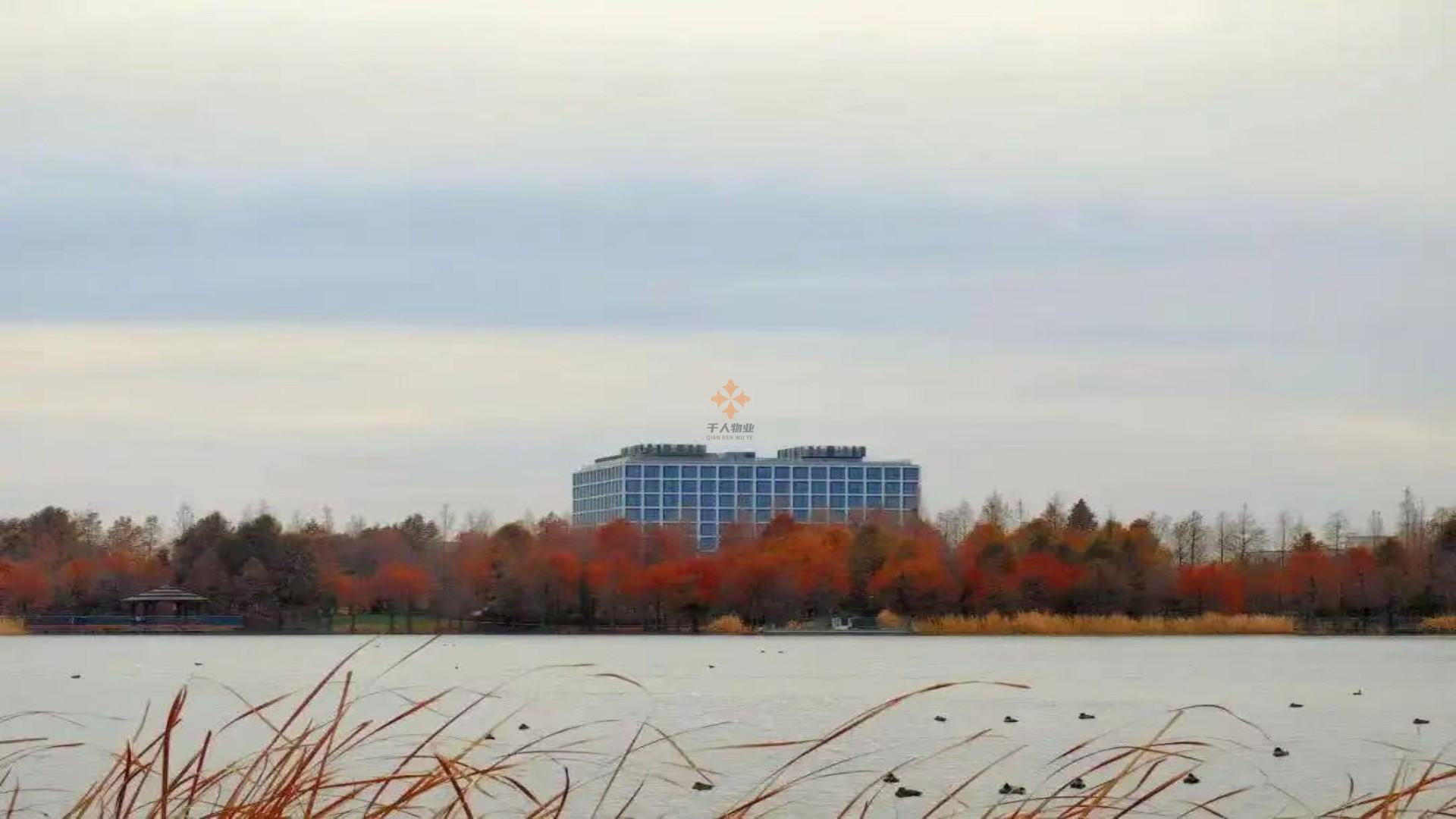 微信图片_20250908091136_396_119.jpg 微信图片_20250908091136_396_119.jpg