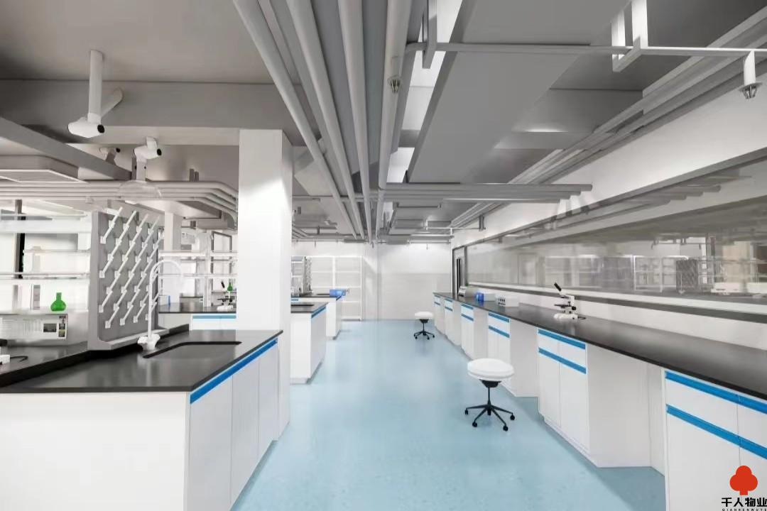 浦东如何“引得进、留得住”？“青创护航计划”精准助力海外项目与青年创业