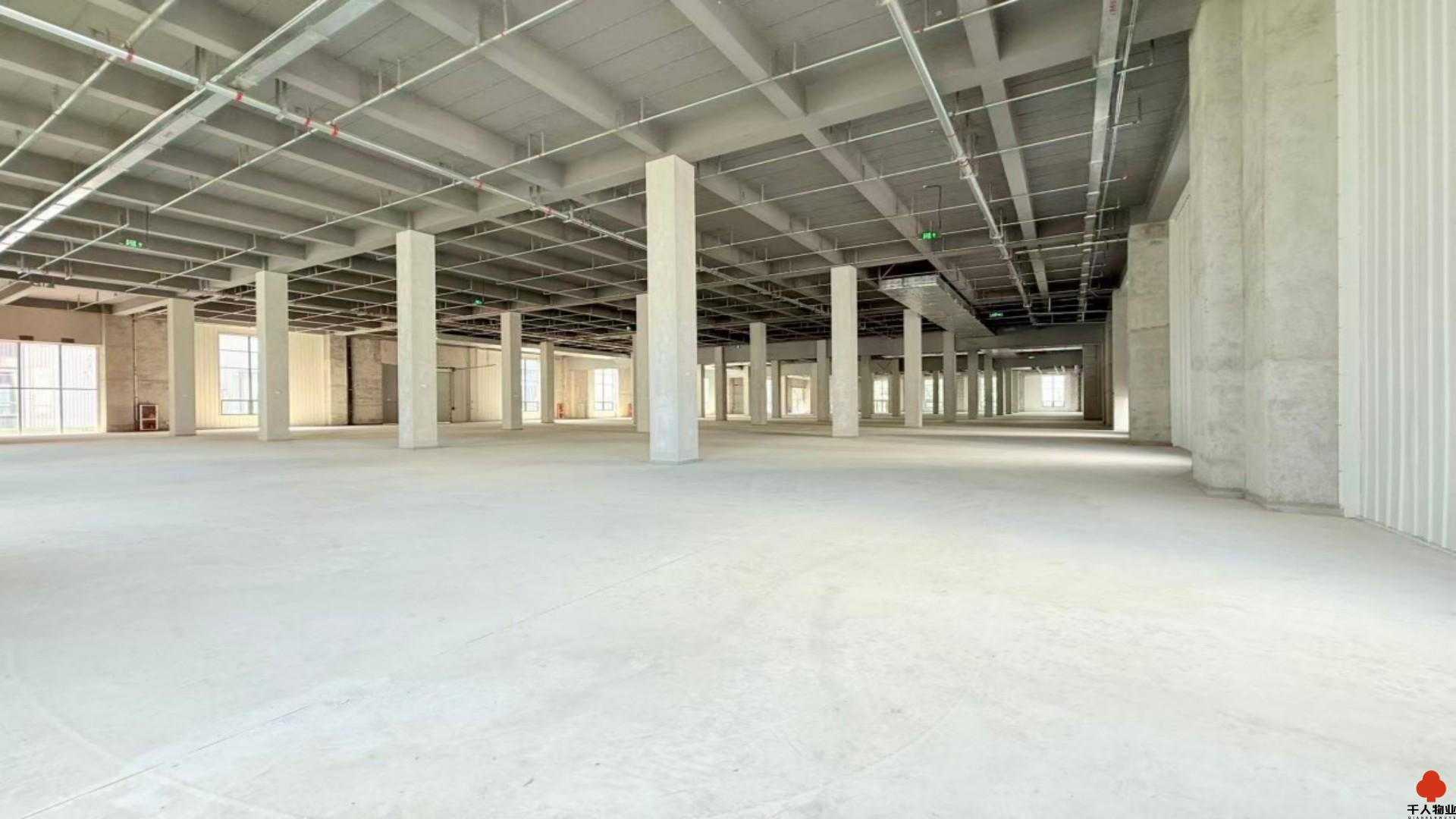 浦东 金光数创园 5000平米 毛坯