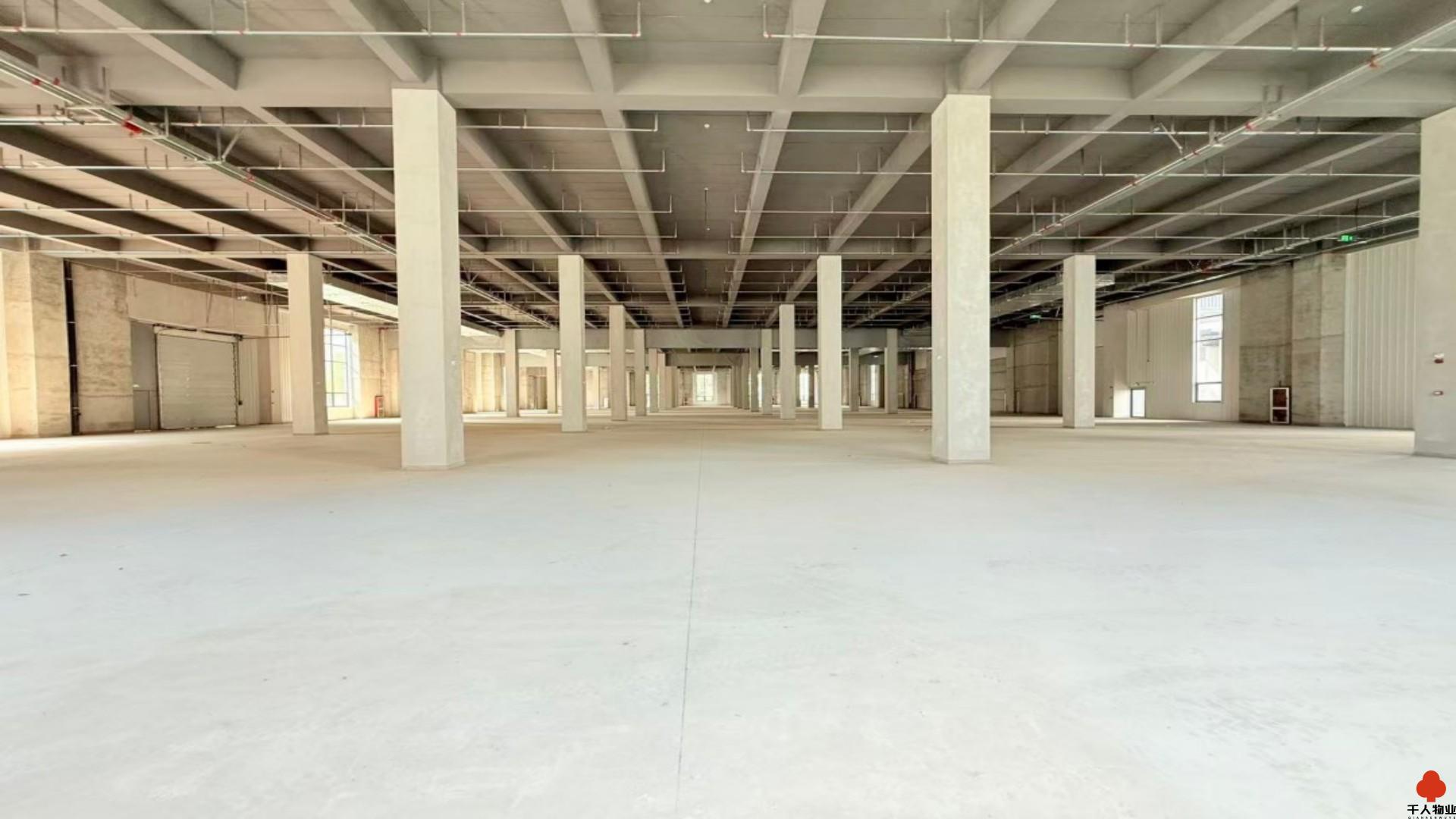 浦东 金光数创园 11000平米 毛坯