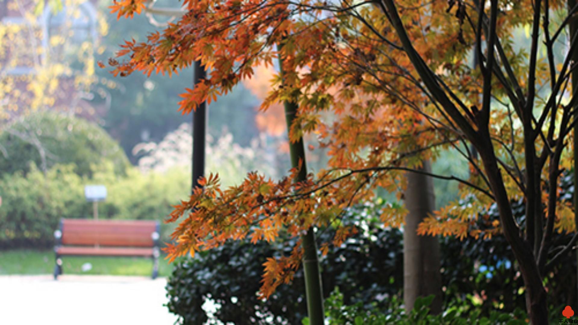 张江润和国际总部园