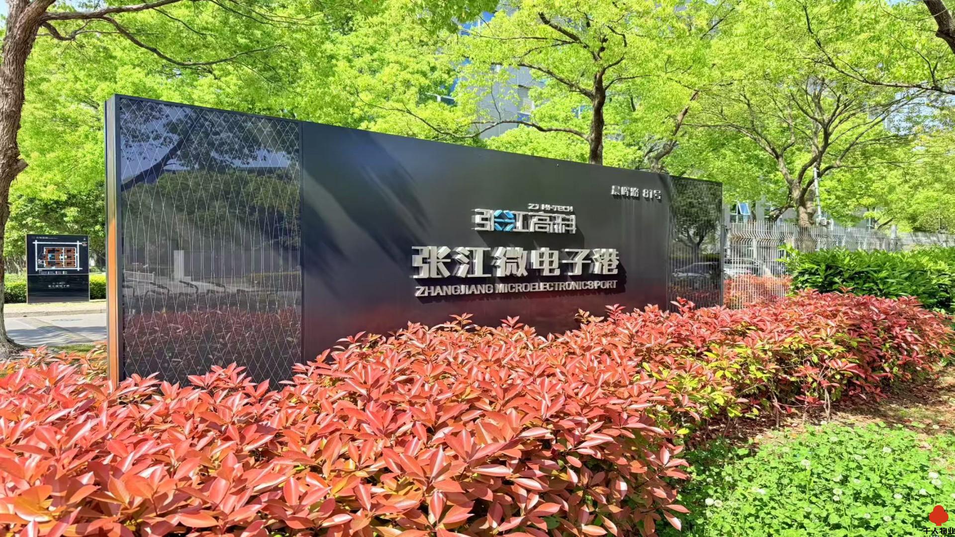 张江微电子港