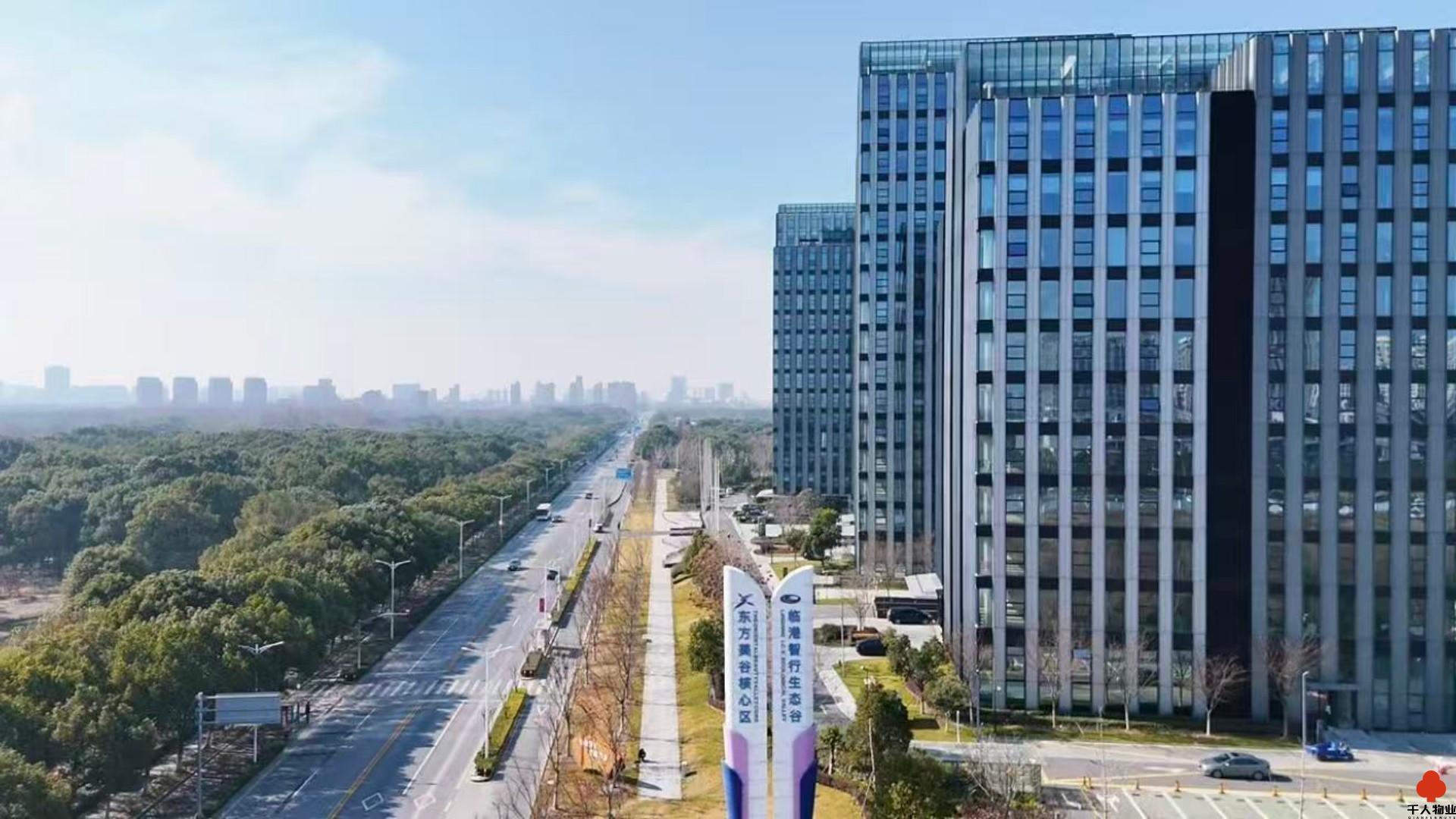 临港南桥科技城，即临港南桥智行生态谷，临港南桥科技绿洲（首发区），数字江海（核心区），欣创园（拓展区）