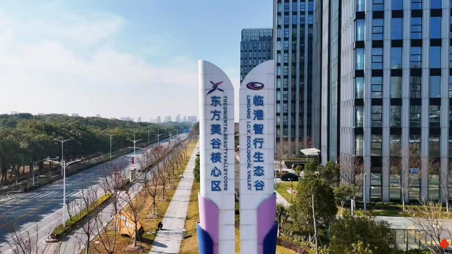 奉贤 临港南桥科技城 230平米 简装