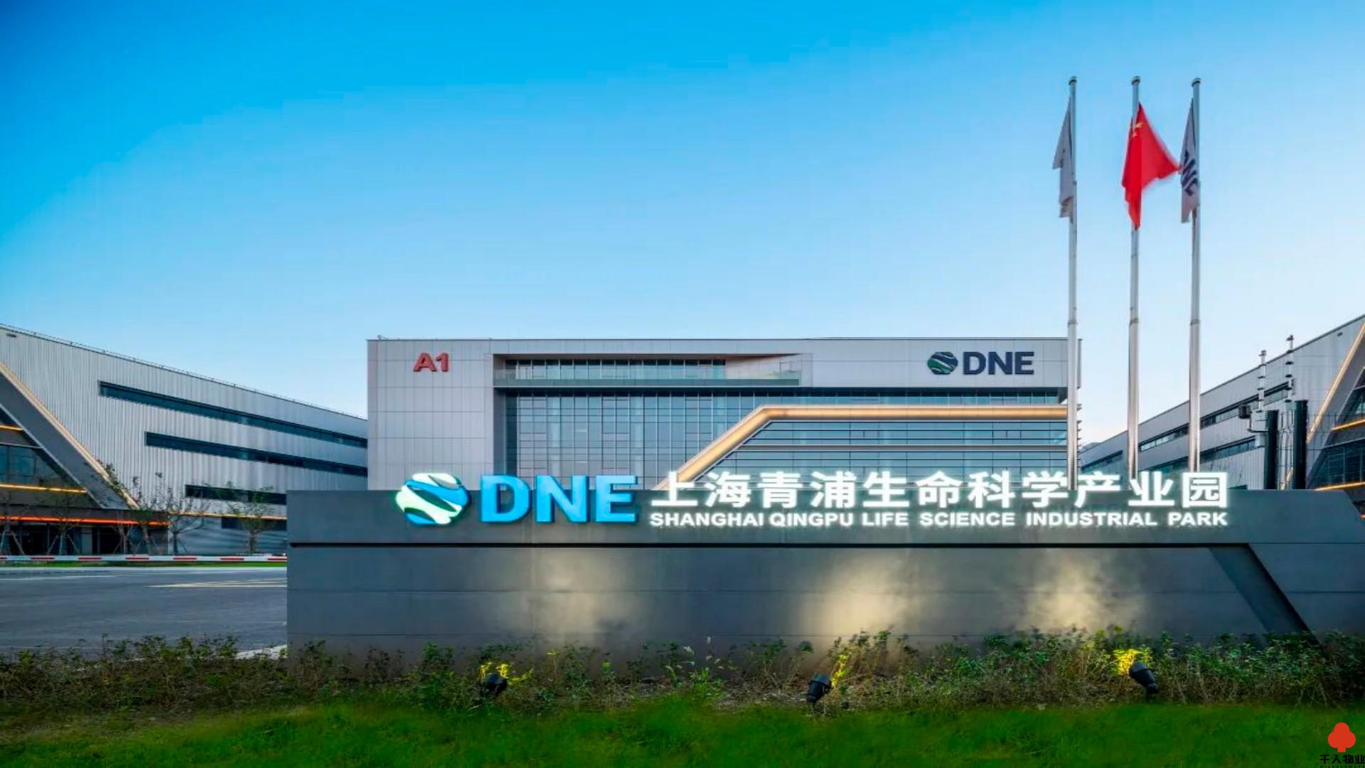 青浦 DNE青浦生命科学产业园 5800平米 简装